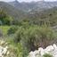 land for sale kalavasos larnaca 1336359 thumbnail 2476726