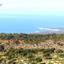 land for sale peyia paphos 621359 thumbnail 307619