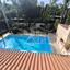 4 bedroom detached house for sale potamos germasogeias limassol 1589459 thumbnail 16184350