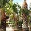 6 bedroom detached house for sale makedonitissa nicosia 977459 thumbnail 10552858