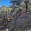 land for sale moniatis limassol 1850459 thumbnail 6686634