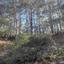land for sale moniatis limassol 1850459 thumbnail 6686642