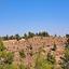 4915 SQM Land for sale in Agios Epifanios Oreinis, Nicosia thumbnail 16332067