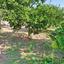 2 bedroom bungalow for sale choletria paphos 7737559 thumbnail 10191870
