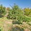 2 bedroom bungalow for sale choletria paphos 7737559 thumbnail 10191872
