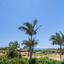 3 bedroom detached house for sale pissouri limassol 8698559 thumbnail 16240598