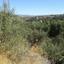 land for sale polemi paphos 826559 thumbnail 15598738
