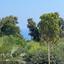 6 bedroom detached house for sale protaras famagusta 1281659 thumbnail 5293084