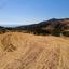 land for sale kissonerga paphos 919659 thumbnail 15599028