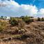 3150 SQM Land for sale in Alampra, Nicosia thumbnail 16130190