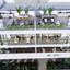 2 bedroom apartment for sale geri nicosia 1685759 thumbnail 16437515