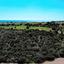 land for sale agios theodoros larnacas larnaca 957759 thumbnail 5597783