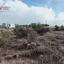 land for sale alampra nicosia 7921759 thumbnail 16130186