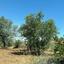 land for sale analiontas nicosia 1210759 thumbnail 15603791
