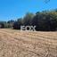 land for sale polemi paphos 1158759 thumbnail 5503074