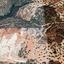 land for sale sotira lemesou limassol 1146759 thumbnail 5520013
