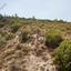 land for sale trimiklini limassol 7732759 thumbnail 10747946