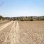 land for sale mitsero nicosia 7750859 thumbnail 10275946