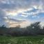 land for sale tochni larnaca 1625859 thumbnail 5707506