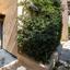 2 bedroom town house for sale potamos germasogeias limassol 8428959 thumbnail 16233615