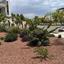 3 bedroom apartment for sale livadia larnacas larnaca 8696959 thumbnail 16194639