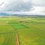 land for sale softades larnaca 8771959 thumbnail 16588375