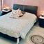 2 bedroom apartment for sale ekali limassol 8146069 thumbnail 13430229