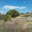 land for sale dora limassol 7806069 thumbnail 15596380