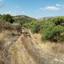 land for sale dora limassol 7806069 thumbnail 15596381