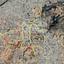 land for sale strovolos nicosia 8629069 thumbnail 15865258