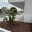 2 bedroom apartment for sale chrysopolitissa larnaca 1242169 thumbnail 16685771