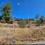 land for sale gourri nicosia 7495169 thumbnail 9319118