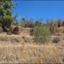 land for sale gourri nicosia 7495169 thumbnail 9319120
