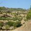 land for sale pano pyrgos nicosia 946169 thumbnail 15601041