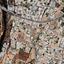 plot for sale kato lakatamia nicosia 1254269 thumbnail 17444656