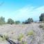 10034 SQM Land for sale in Kritou Tera, Paphos thumbnail 15596574