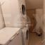 3 bedroom apartment for sale lykavitos nicosia 1152369 thumbnail 5152338