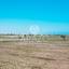 land for sale pervolia larnaca 957469 thumbnail 13266199