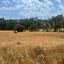 plot for sale agios tychonas limassol 8468469 thumbnail 16585399