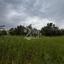plot for sale kornos larnaca 8571469 thumbnail 15770759