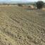 plot for sale pera orinis nicosia 1212469 thumbnail 16251933
