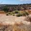 932 SQM Land for sale in Agia Fyla, Limassol thumbnail 16789372
