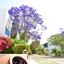 2 bedroom apartment for sale kato paphos paphos 8946569 thumbnail 17714982