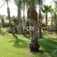 4 bedroom detached house for sale agios spyridonas limassol 1158569 thumbnail 5490704