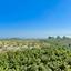 4 bedroom detached house for sale kathikas paphos 7738569 thumbnail 10204148