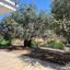4 bedroom detached house for sale tempria nicosia 8758569 thumbnail 16521333
