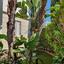 5 bedroom detached house for rent dekeleia larnaca 1492569 thumbnail 5457463