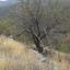 land for sale palaichori oreinis nicosia 829569 thumbnail 2826064