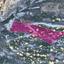 land for sale pera pedi limassol 1237569 thumbnail 15020322