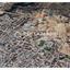 plot for sale latsia nicosia 1603569 thumbnail 14154205